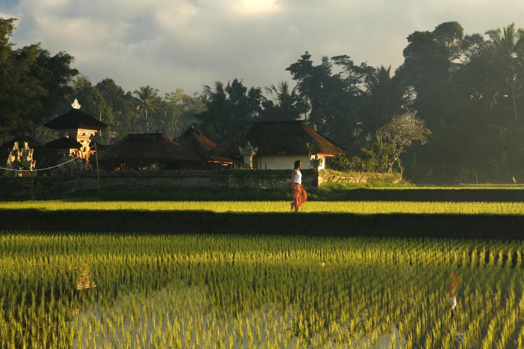 Kayumanis Ubud Private Villas & Spa Einrichtungen foto